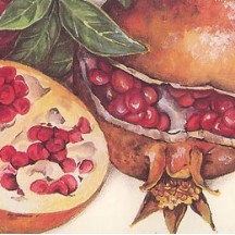 Mixed Pomegranates Italian Paper ~ Tassotti